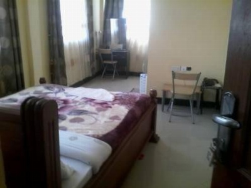 Roika Inn Guest House image 2