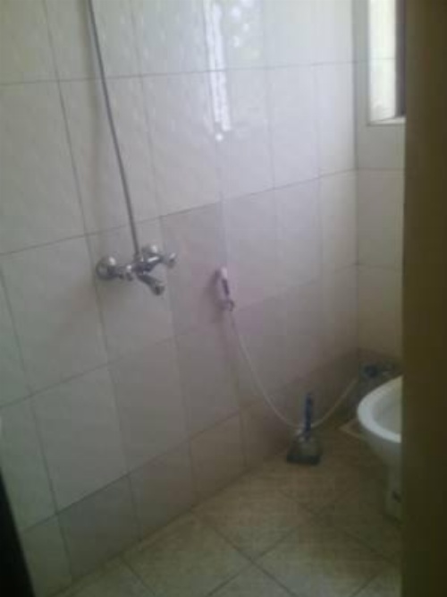 Roika Inn Guest House image 3